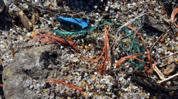Plastic korrels in de haven van Rotterdam
