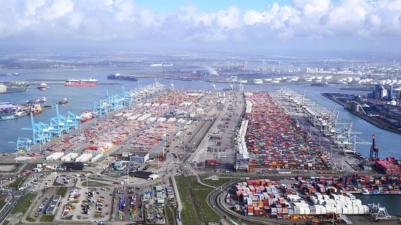 Kräne und Containerumschlag im Amazonahafen in Rotterdam