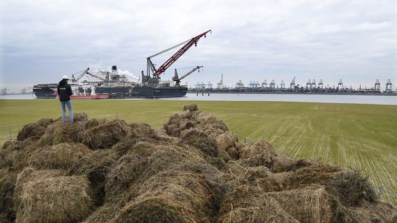 Bokashi, gefermenteerd organische materiaal, op uitgeefbaar terrein van Maasvlakte 2