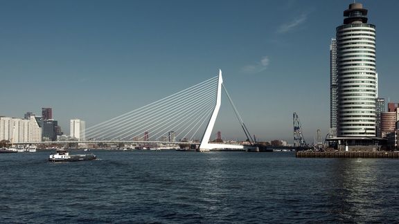 Die Erasmusbrücke in Rotterdam