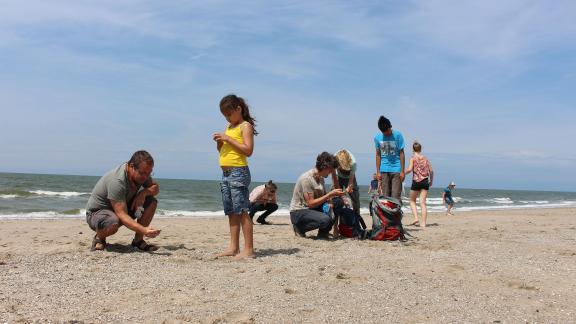 Kinderen zoeken fossielen op Maasvlakte Strand