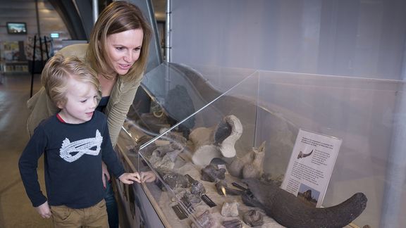 Vrouw en kind kijken naar fossielen in vitrine