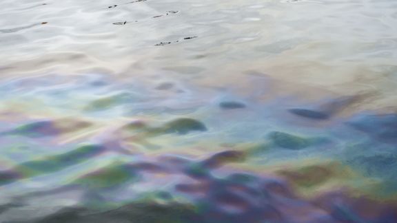 An oil slick on the water