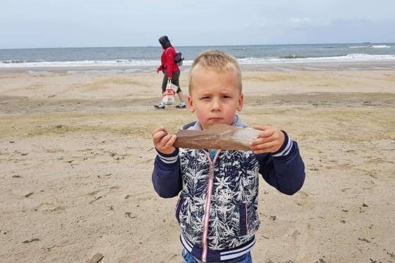 Dex aus Udenhout mit einem Stück Mammutknochen am Strand der Maasvlakte