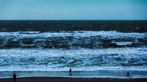 Wandelaars op Maasvlaktestrand