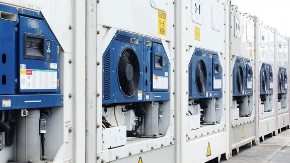 A row of reefer containers