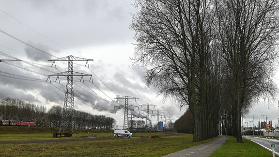 Bomen aan de Dintelweg