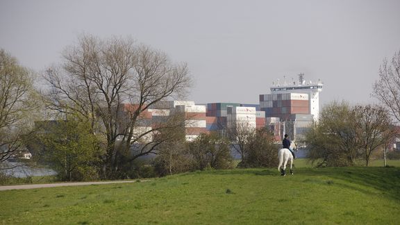 Containerschip bij Pernis, natuur in de haven met ruiter op paard