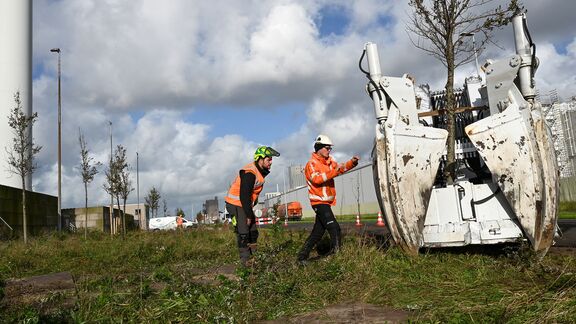 IDverde verplaatst Iepen naar Europoort