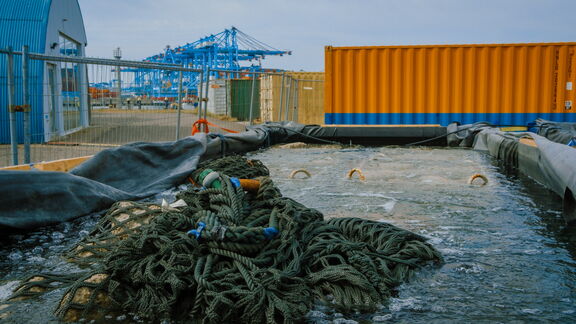Een bassin op Maasvlakte 2 waarin de oesters worden gekweekt. Foto: Lex Bezemer