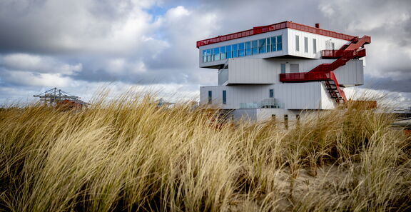 Portlantis from the dunes © Robin Utrecht