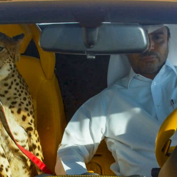 Een oliebaron zit met een cheetah in zijn auto
