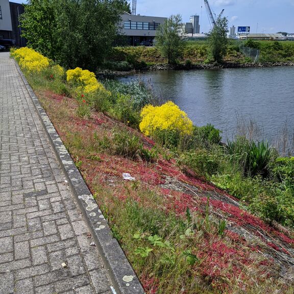  Natuurglooiing en industrie