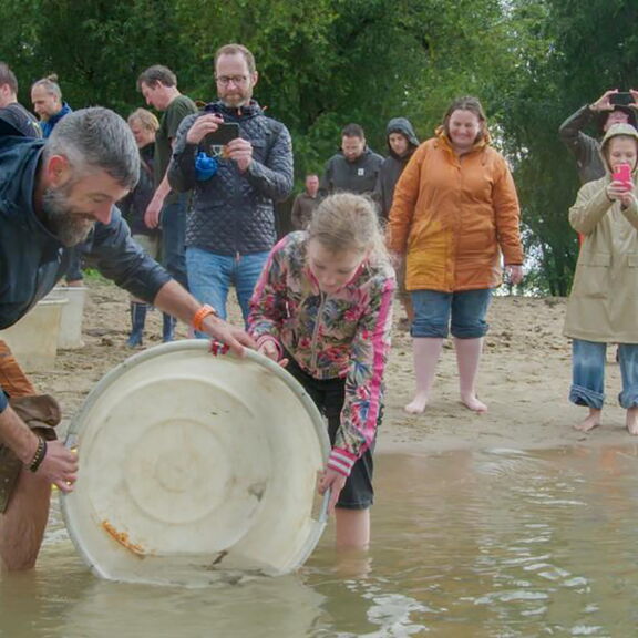 Steurenuitzet bij Woudrichem Foto: Dick Harrewijn