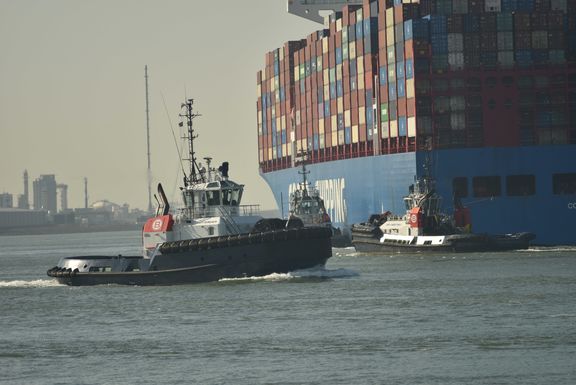 dsc_8181.jpg