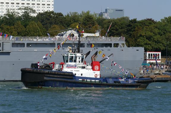 vb-tiger-(mb-030922-5.jpg