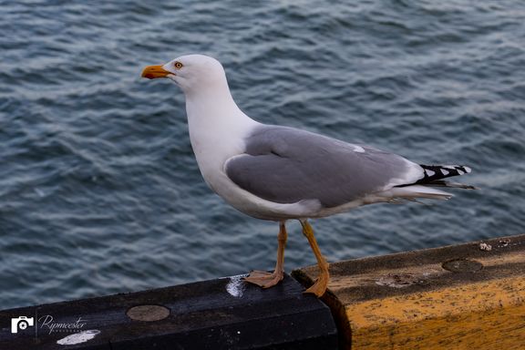 img_6158.jpg