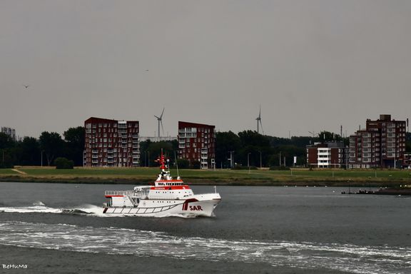 432a2354.jpg
