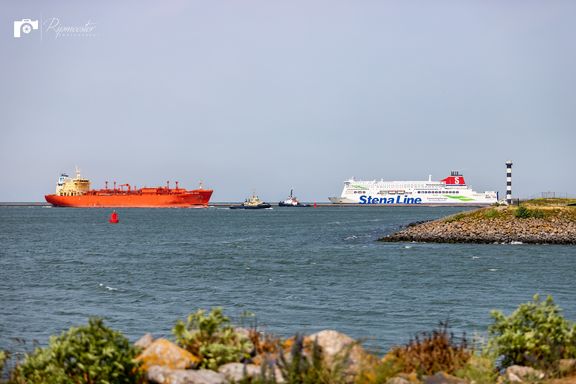 img_9780.jpg