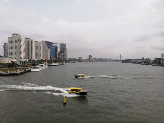 img_20230629_113123.jpg