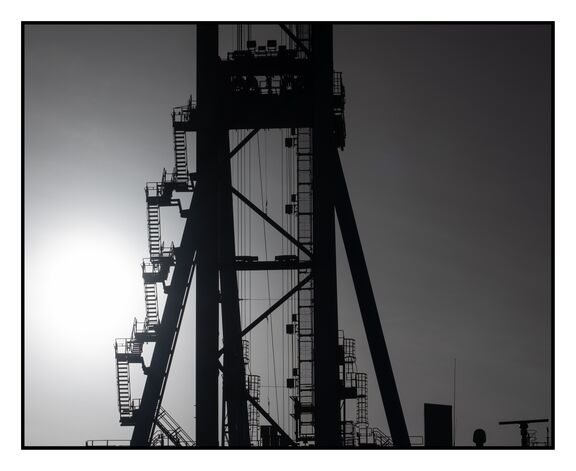 tegenlicht-maasvlakte.jpg