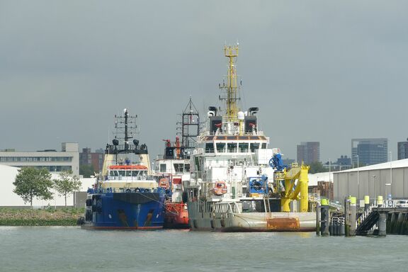 p2440484.jpg