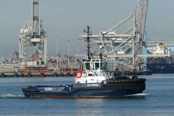 sd-rebel-(mb-030923-1.jpg