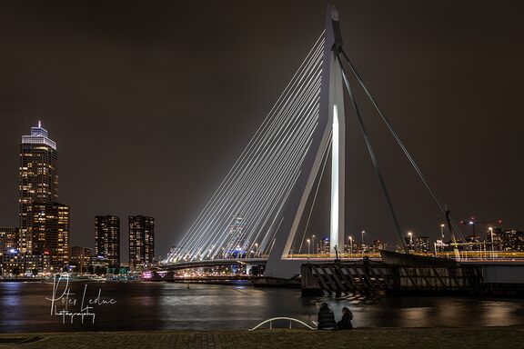 erasmusbrug-rotterdam-port.jpg