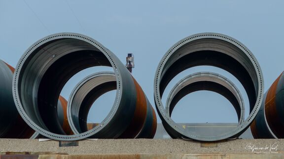 _dsc8562.jpg