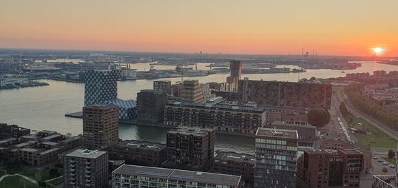 20241005_190251.jpg