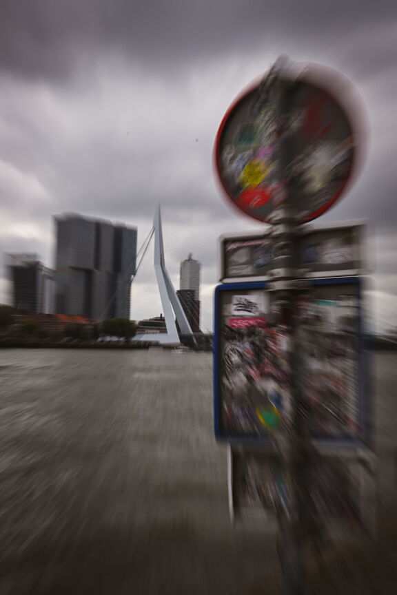 dsc_1161.jpeg