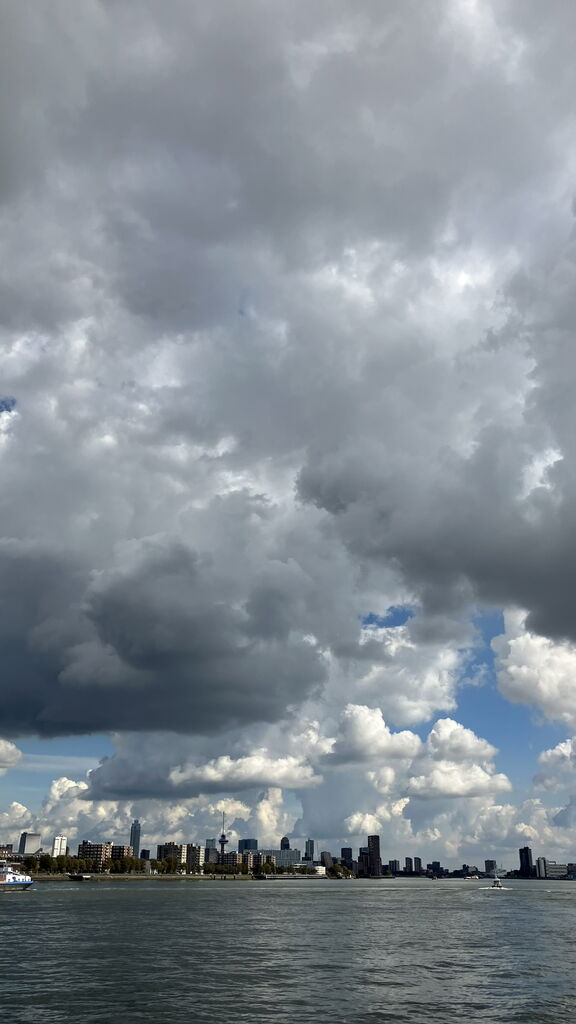 img_2009.jpeg
