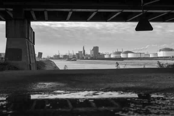 _z633116-14.jpg