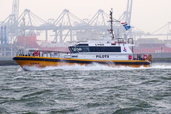dsc04179_edited-1.jpg