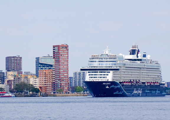 dsc04930-1_edited.jpg