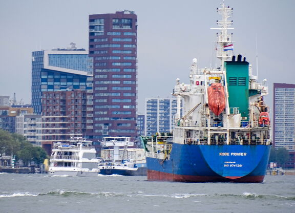 dsc04975-1_edited-1.jpg