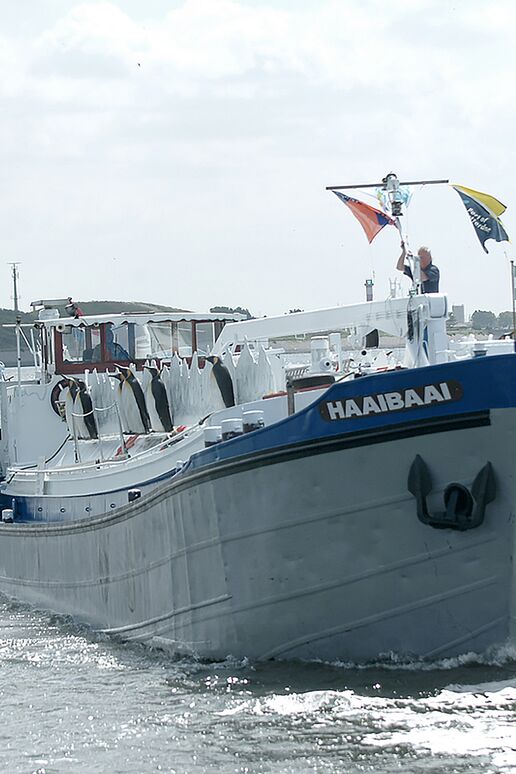 The Haaibaai of Diergaarde Blijdorp