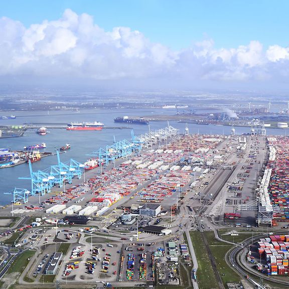 Kranen en containeroverslag in de Amazonehaven in Rotterdam