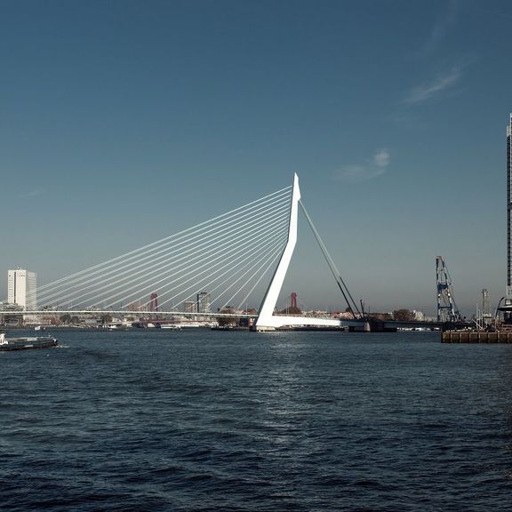 Die Erasmusbrücke in Rotterdam