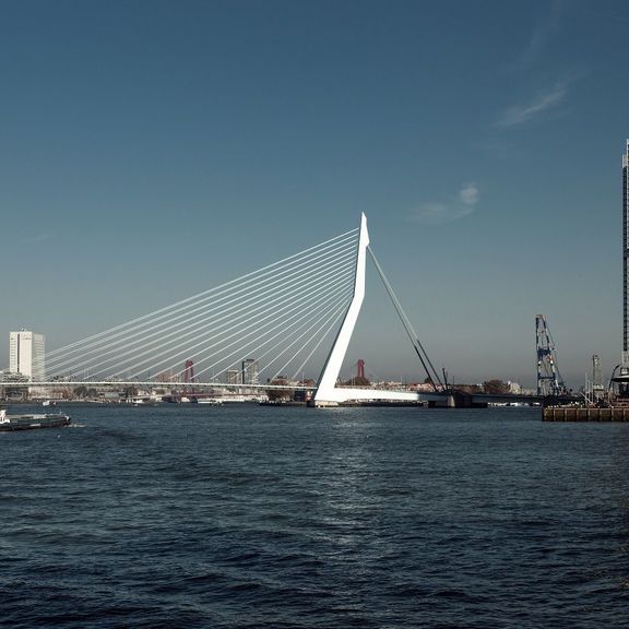 De Erasmusbrug in Rotterdam