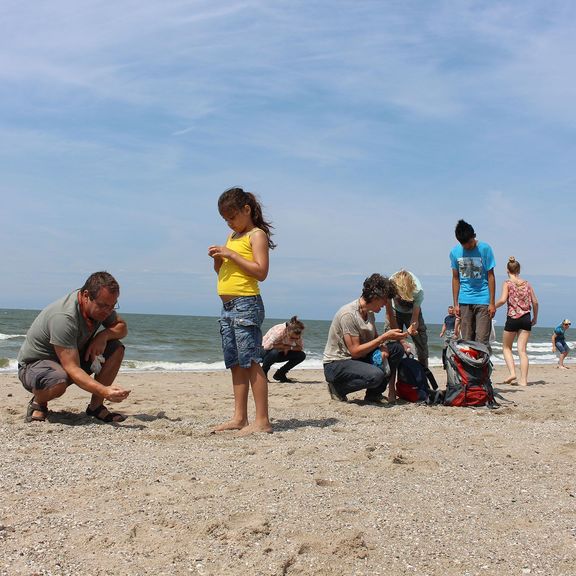 Kinderen zoeken fossielen op Maasvlakte Strand