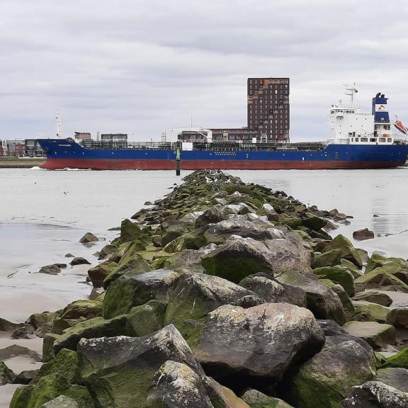 Nieuwe Maas Rozenburg