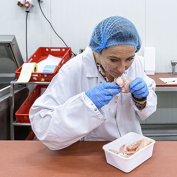 Inspectie vlees door dierenarts