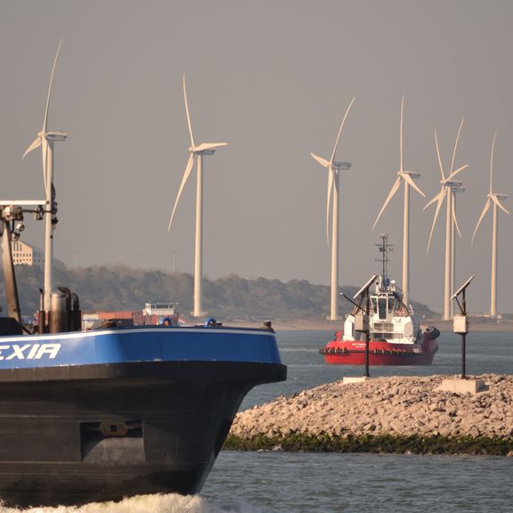 Windmills in the port