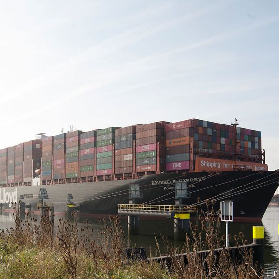 Brussels Express on dolphins in Calandkanaal