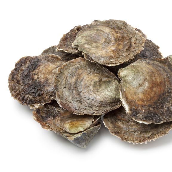 Platte oesters