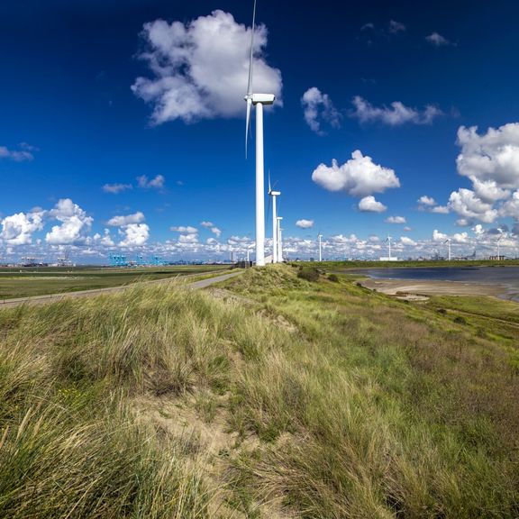 Windmolens bij De Slufter op Maasvlakte 2