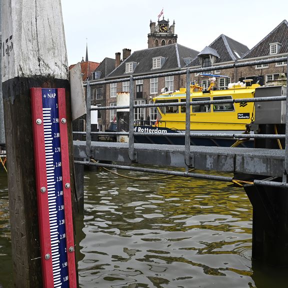 NAP pijl met RPA op de achtergrond