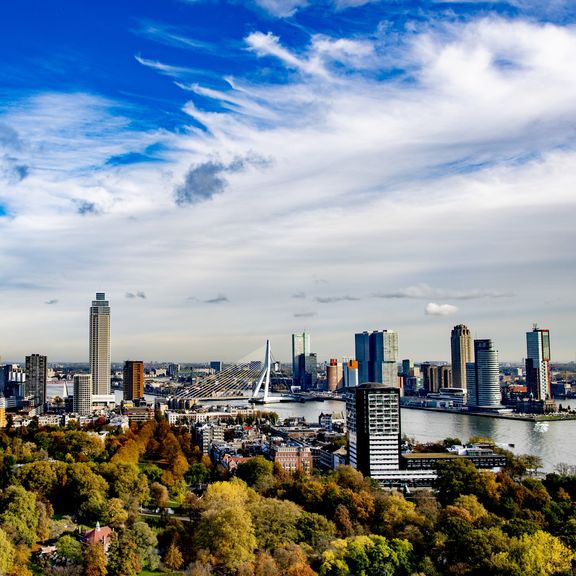 Skyline Rotterdam