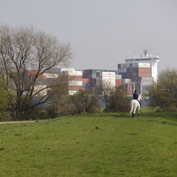 Ruiter op paard met containerschip op de achtergrond